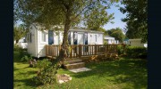 Wilson Rentals & Realty